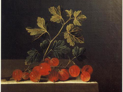 19:05 Gedicht: Een zomermorgen, van Marlene van Niekerk