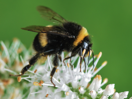 Kettingreactie 29 augustus 2024