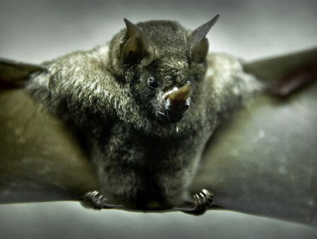 Het weekend van Erik Korsten