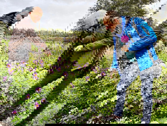 Stembus: Lex rijdt langs bij de kwekerij van Guido van Rijkom in Groenekan