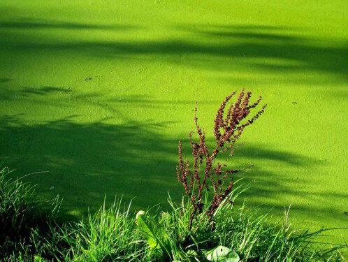 19:15 Gedicht: Ontvangstbevestiging, van Iduna Paalman