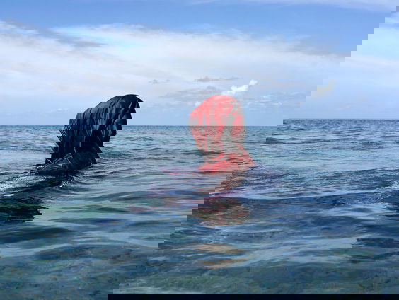 Het gesprek - Isabelle Boon