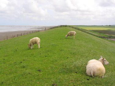 19:15 Gedicht: De zeedijken, van Christopher Levenson