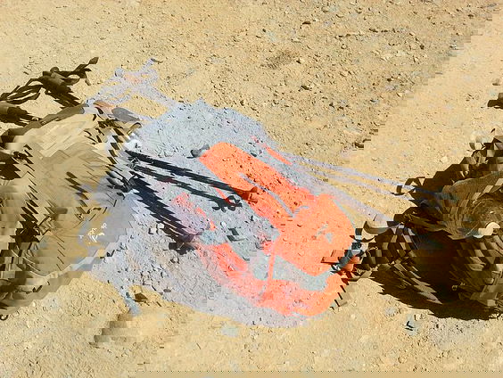 Steve Reich over Traveler's Prayer, in première in de NTR Zaterdagmatinee