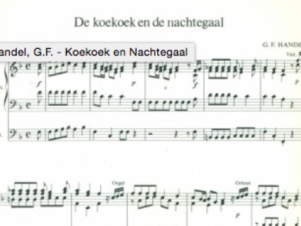Kettingreactie