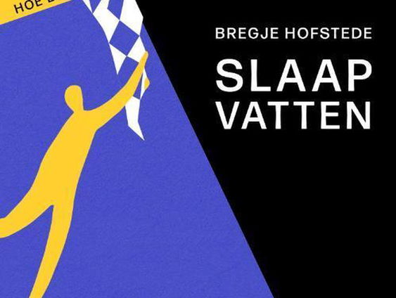 Het gesprek - Bregje Hofstede