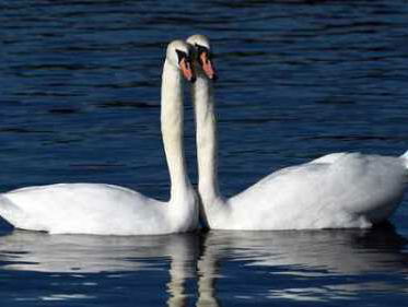 19:05 Poëzie: Brief aan mijn moeder van Frank Koenegracht