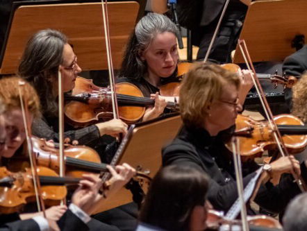 19:30: Snapshot Klassiek 48: Violistenrijtje