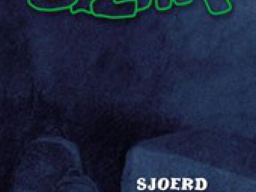 Het gesprek - Sjoerd Kuyper