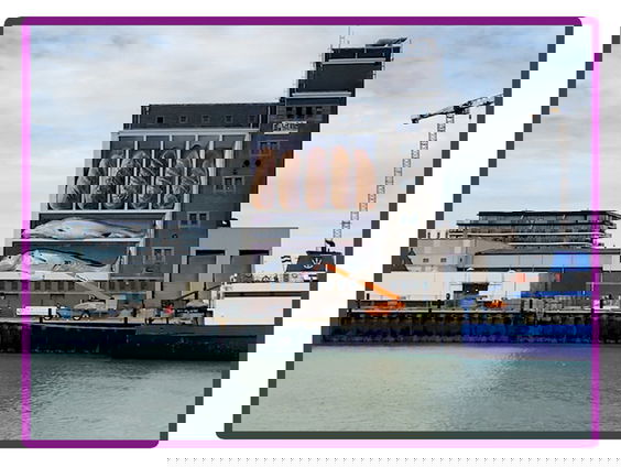 Finale buitenkunstverkiezing: Broden en Vissen