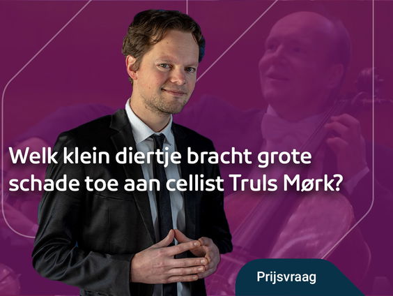 Maatwerk Prijsvraag