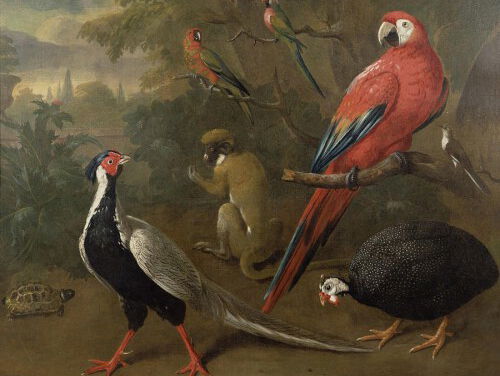 19:45 Liedcyclus: Histoires naturelles van Maurice Ravel, nr.1 'Le paon'