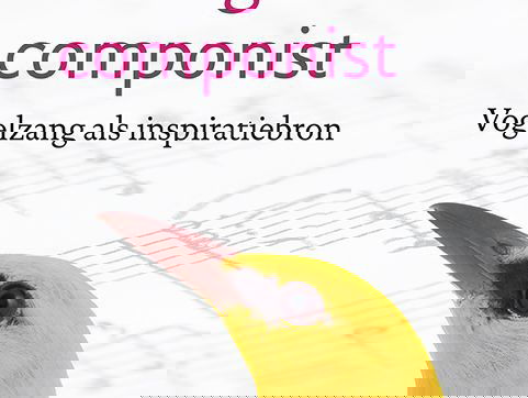 Fernand Rochette over 'De vogel en de componist'