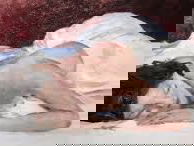 Gedicht: Liefdevol voorgevoel van Jorge Luis Borges