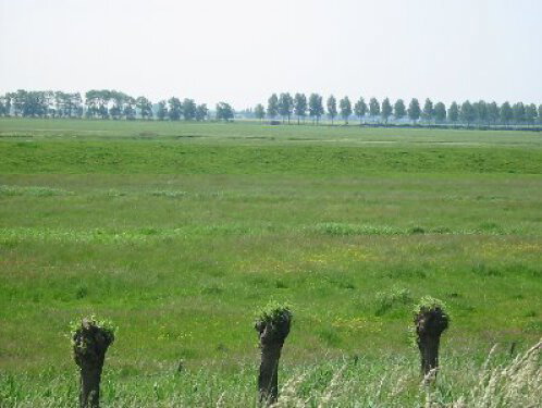 Kettingreactie
