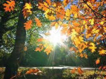 19:05 Gedicht: Herfstdag, van Rilke