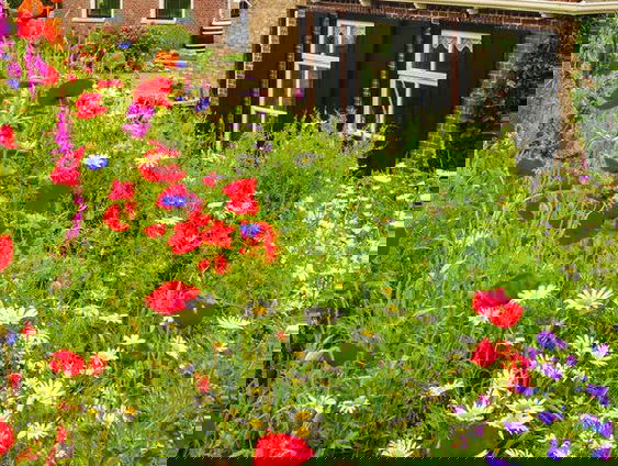 Gedicht: Poëzie, van Herman de Coninck