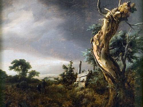 19:05 Gedicht: Boom, van Hester Knibbe