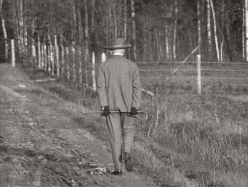 Lekkere Track: Jean Sibelius - Valse Triste