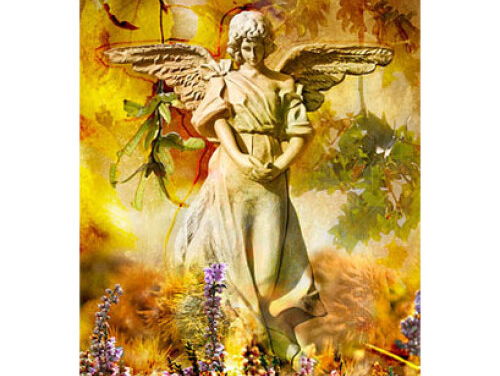 19:05 Gedicht: Kleine herfstengel, van Marjoleine de Vos