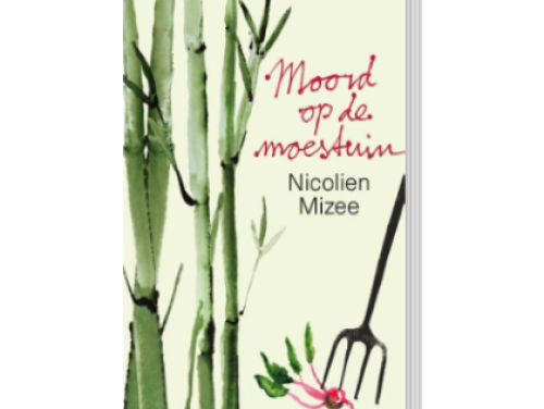 Het gesprek - Nicolien Mizee