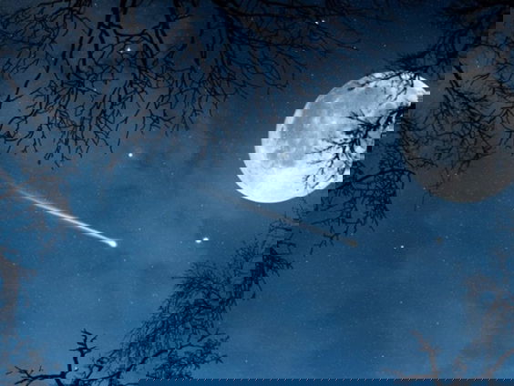 Gedicht: Sterrenhemel van Lars Gustafsson