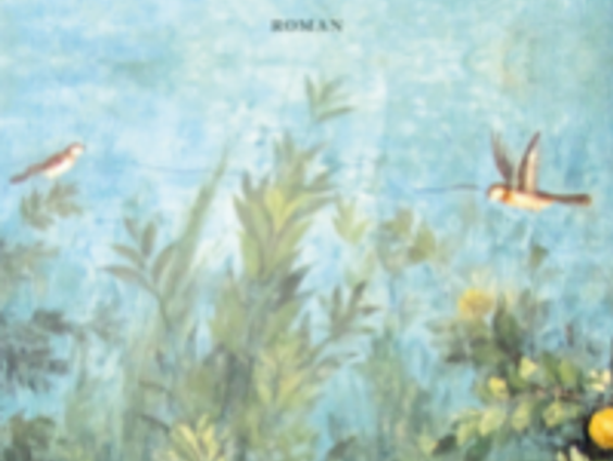 Boek van de week: Het einde van het lied