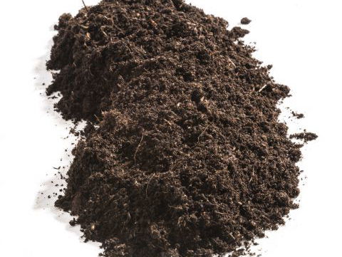 RadioReisDienst: Turkije