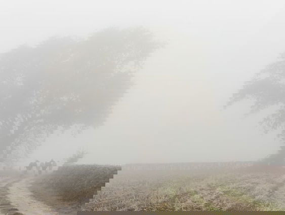 Gedicht: Bij Gouda, van Willem van Toorn