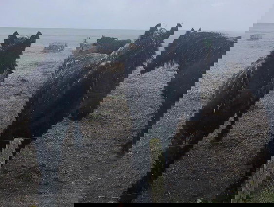 Lekkere Track: Hildegard von Bingen - Ancient Suite