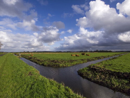 19:13u Gedicht: Tussen wolken en aarde de tekens, van Willem van Toorn
