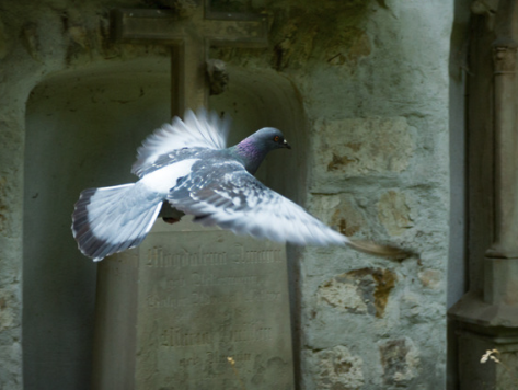 Kettingreactie 14 augustus 2024