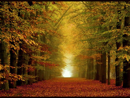 19:30 Hollandsche Nieuwe! It's still autumn van Rembrandt Frerichs Trio & Kayhan Kalhor (4)