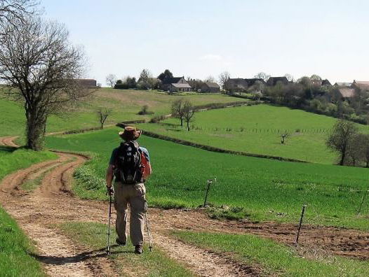 Gedicht: Wie denkt, van Bertus Aafjes