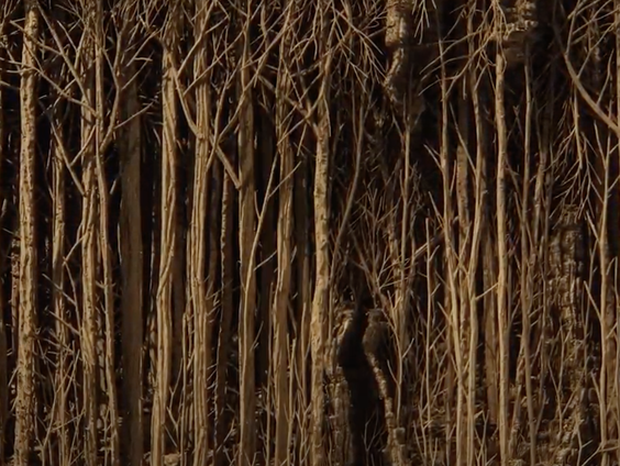 Het gesprek - Hans November