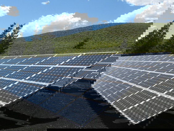 Lekkere Track: Duurzame Dinsdag