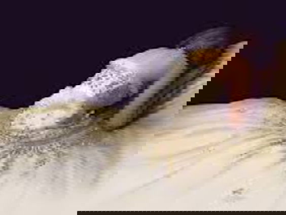 Film muziek: Spencer - Jonny Greenwood