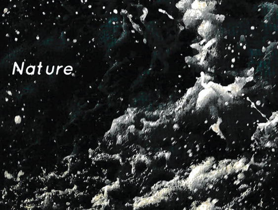 Fie Schouten: Nature