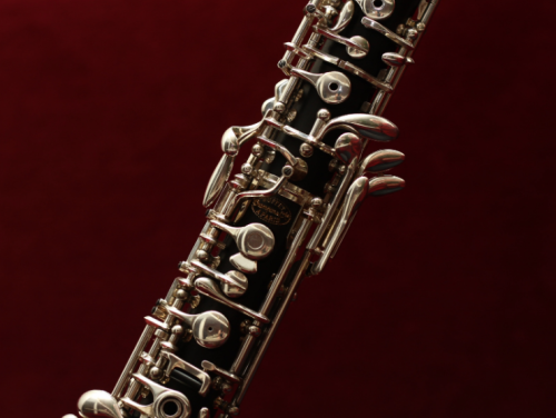 Mooi Moment: Op zoek!