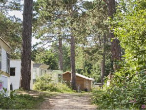 19:05 Gedicht: Credo van Jabik Veenbaas