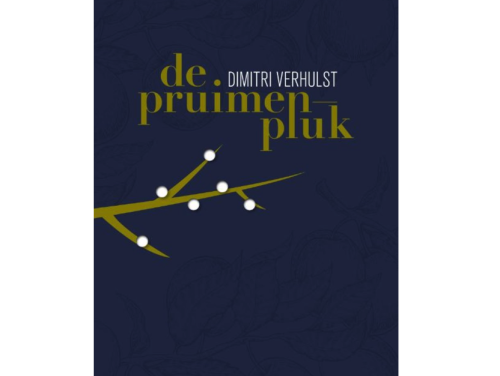 Het gesprek - Dimitri Verhulst