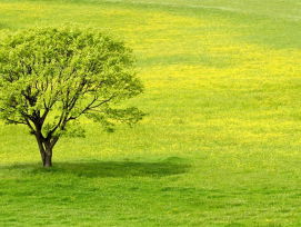 19:05 Gedicht: Het moment, van Wislawa Szymborska