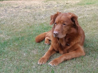 Groetjes uit... Frankrijk