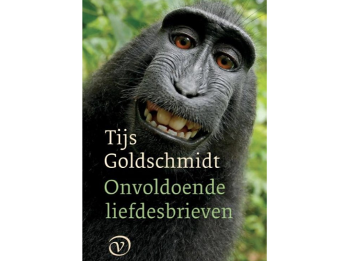 Het gesprek - Tijs Goldschmidt