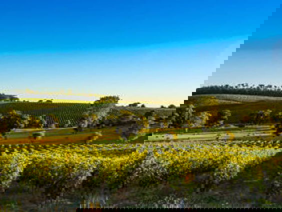 Lekkere Track: Letters from home