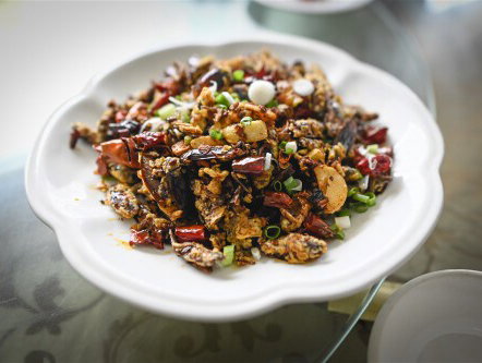 Protix kweekt insecten voor voedsel