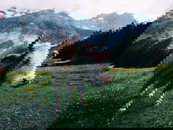 RadioReisDienst: Overal en nergens