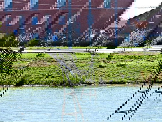 De buitenkunstverkiezing: Regio Oost