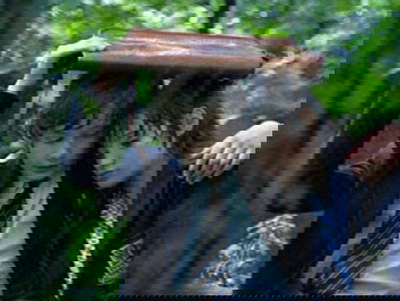 Kettingreactie 3 september 2021