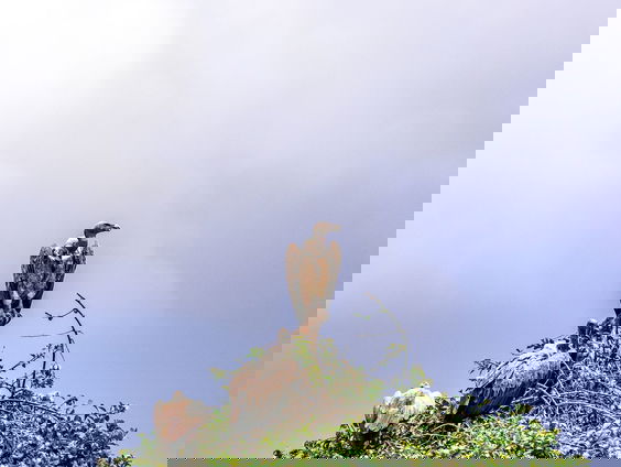 RadioReisDienst: Het stille landschap van Oezbekistan